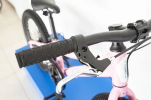 Велосипед 20" Trinx SMART 1.0 2021  розовый/белый/голубой