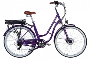 Фіолетовий